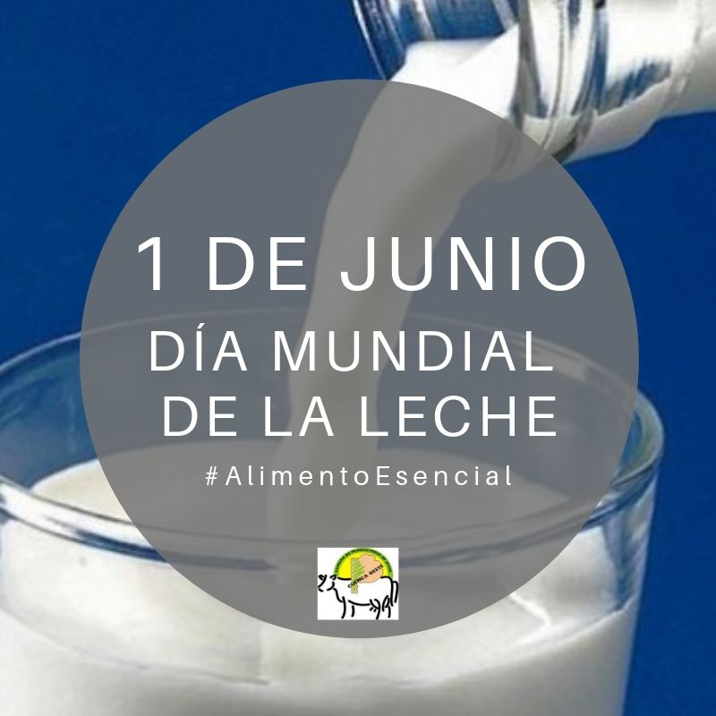 1 de junio: día mundial de la leche