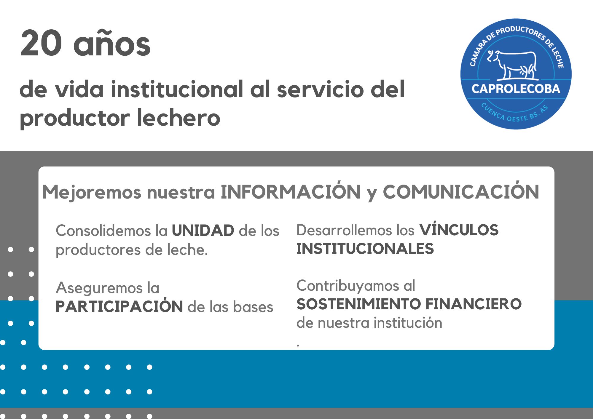 20 años de representación sectorial