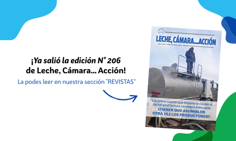 Edición 206