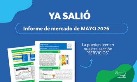 Panorama de Mercado de Mayo 2026
