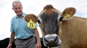 TamboDem inicia su cuarta temporada productiva