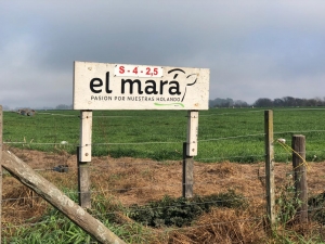 Ser eficientes y producir leche de calidad