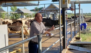 Club de buenas prácticas tamberas