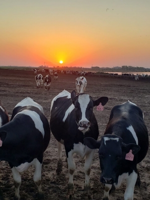 Compromiso con la lechería y pasión por el deporte