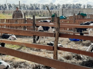 Una familia de tradición tambera