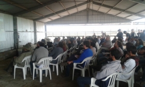 Asamblea General y Junta de Representantes en TamboDem. 